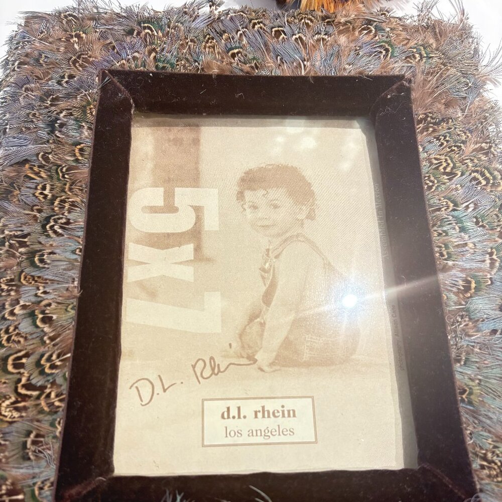 NEW!!!! PHEASANT FEATHERS PICTURE FRAME D.L.L RHEIN